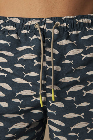 Îlot Colombia, Pantaloneta bahía, Ref. CH16052, Hombre/Ilot, Pantaloneta de baño, Pantalonetas, Producto ECO

, Ropa para hombre