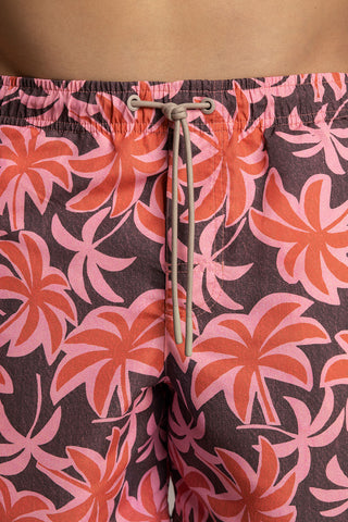 Îlot Colombia, Pantaloneta bahía, Pantaloneta baño hombre, Verano, Playa