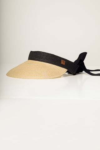 Visera